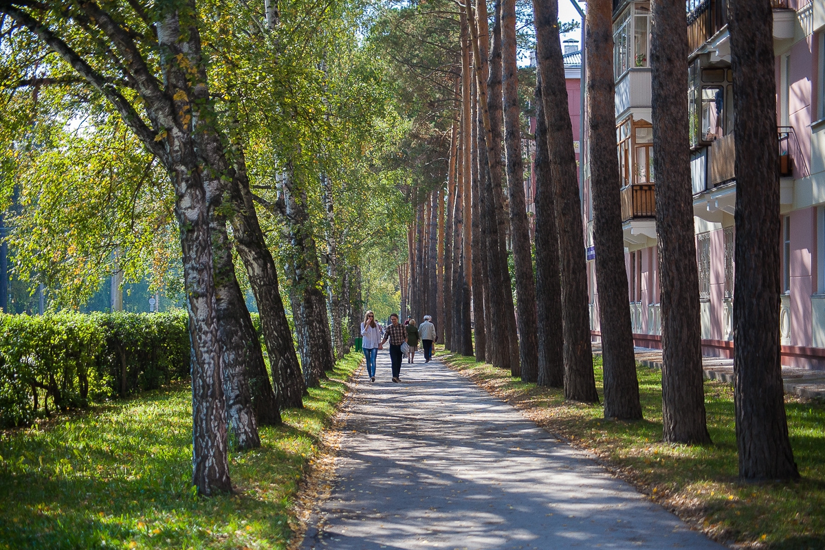 В Новосибирске цены на жилье в Академгородке выросли на 52%