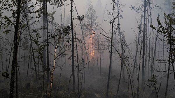 Ликвидация лесных пожаров в Красноярском крае