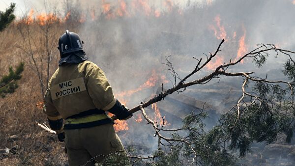 Сотрудник пожарной службы МЧС РФ во время тушения лесного пожара