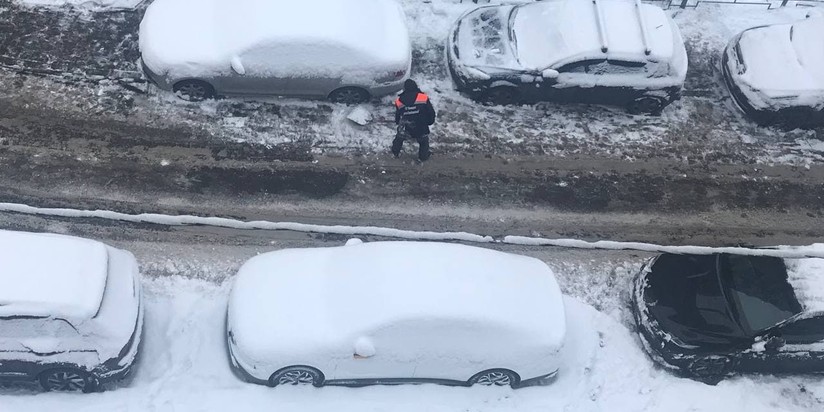снег зима двонник