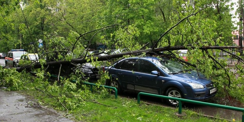 Последствия урагана в Москве