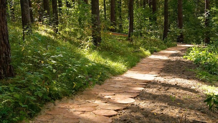 Благоустройство Заельцовского парка в Новосибирске завершится этой осенью