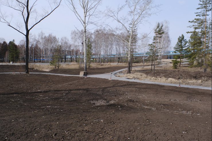 Парк у нового ЛДС в Новосибирске не успеют обустроить ко Дню города