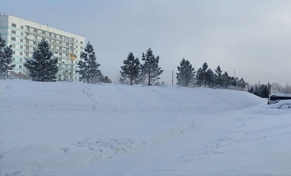 Активист обнаружил в Новосибирске сквер-самострой