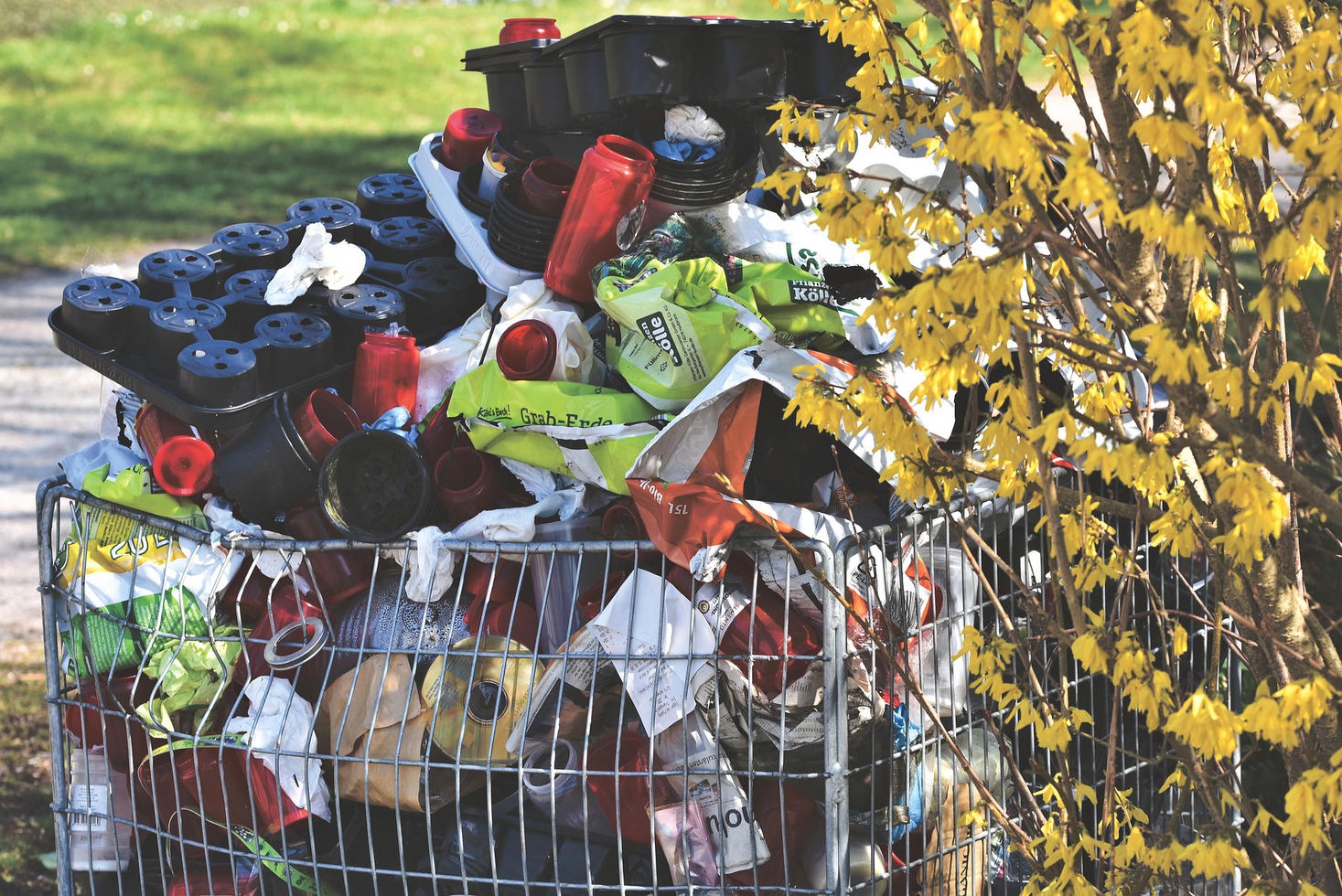 Реформу по утилизации отходов могут отсрочить на два года