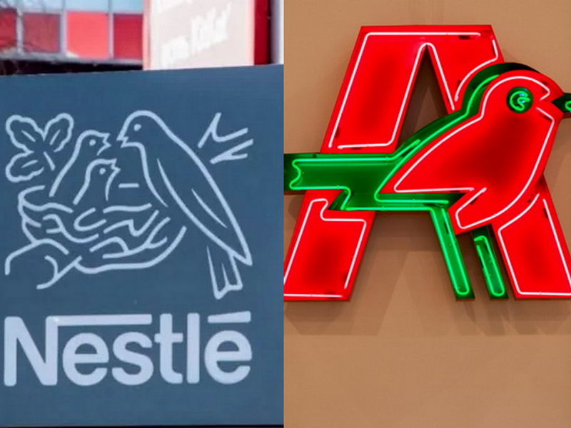 Помещение не нашли, капитал &mdash; 15 тысяч: кому Путин передал &laquo;Ашан&raquo;, Nestle и &laquo;Лемана ПРО&raquo; во временное управление