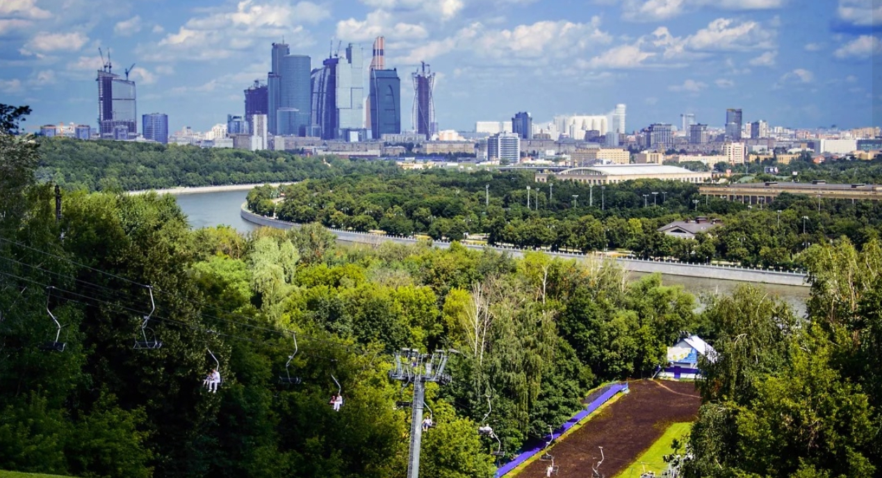 На Воробьевых горах продолжается вырубка деревьев