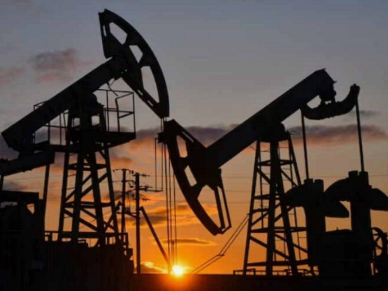 В Госдуме отреагировали на отказ Индии от российской нефти